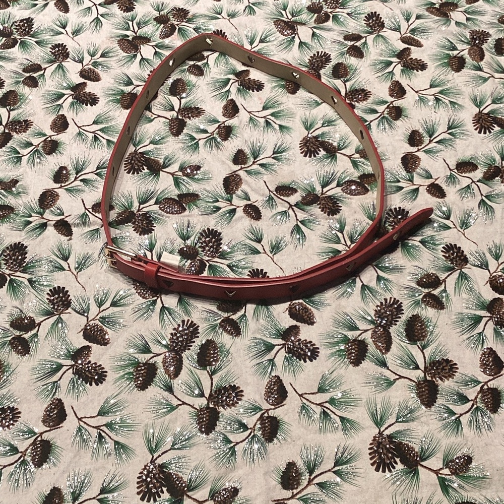 Source Unknown Chic Red Belt